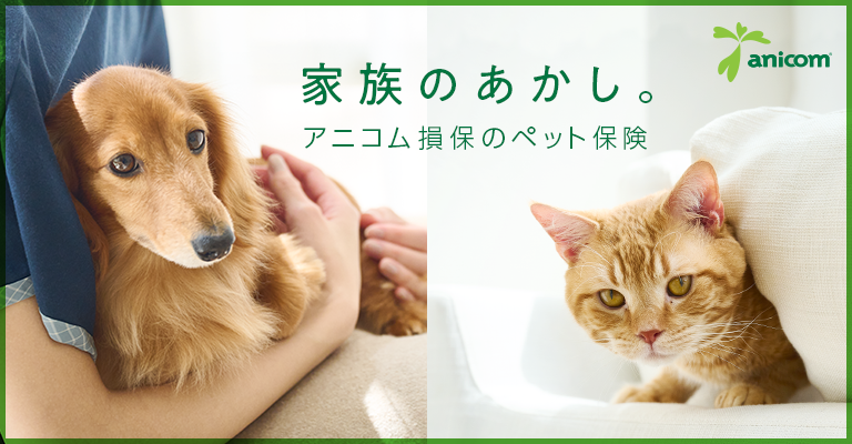 家族のあかし。アニコム損保のペット保険